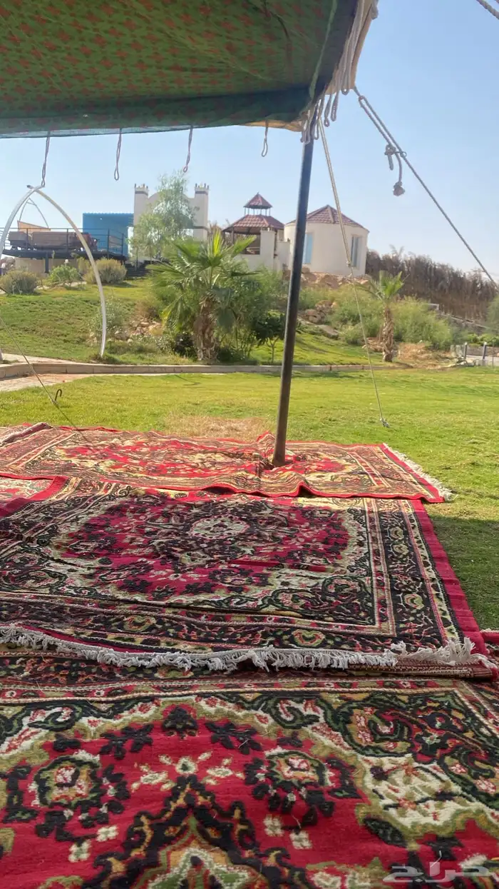 مخيم للايجاروسترحه 1