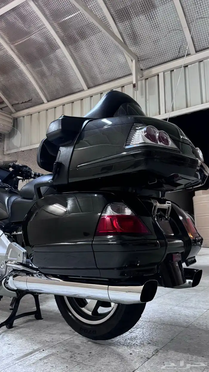 قولد وينق 2010 6