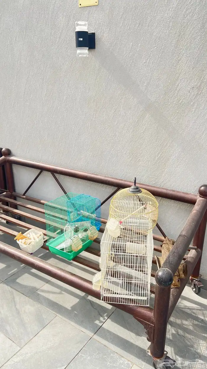 اشبوك طيور 5