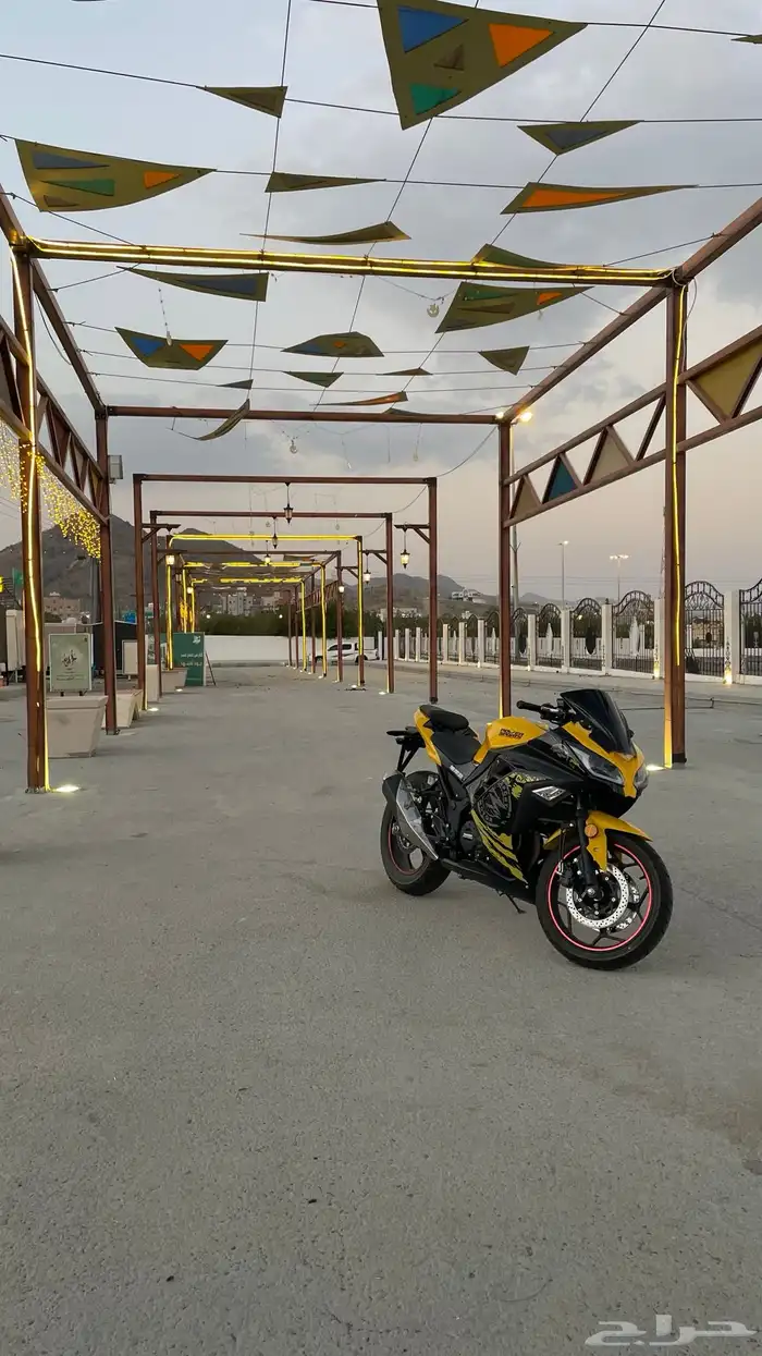 ريس باور سبورت 2025 1