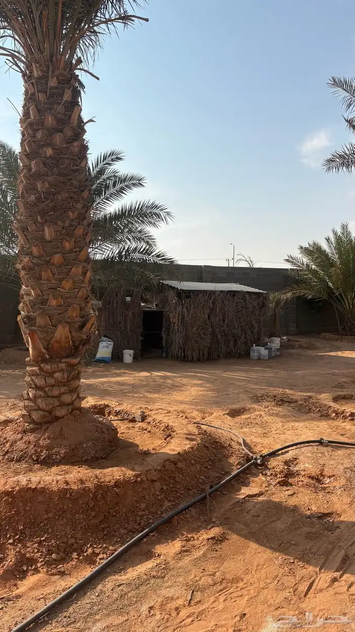 استراحه للبيع 21