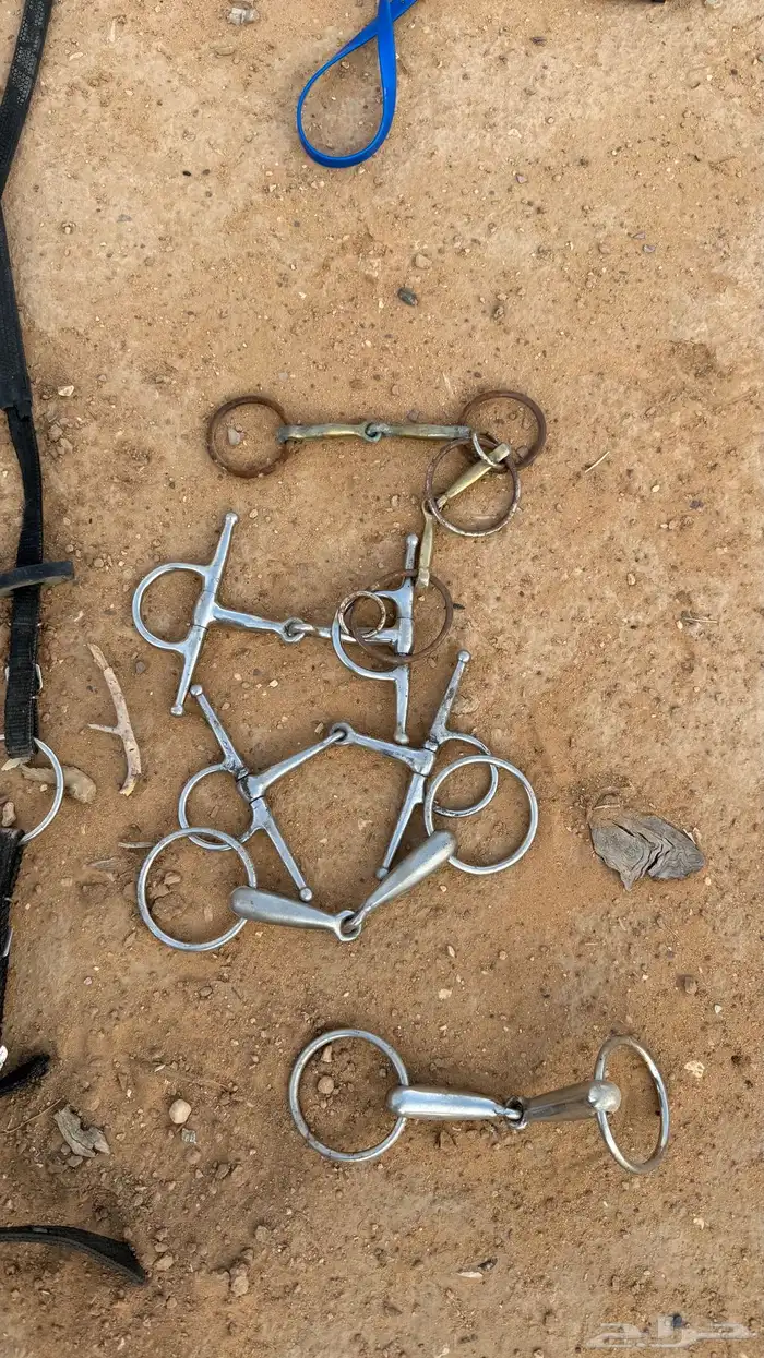 مستلزمات خيول 11