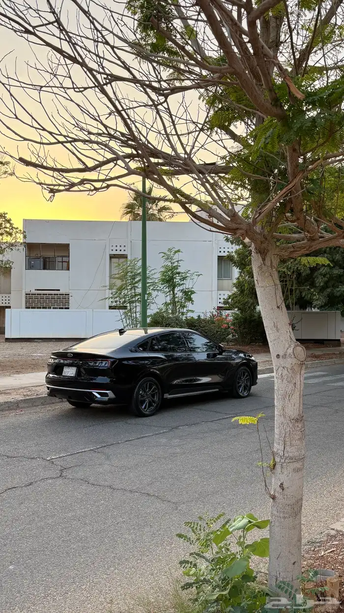 تورس وكالة للبيع 2025 2