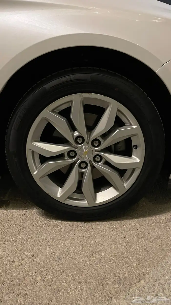 امبالا 2018 ممشى قليل 16