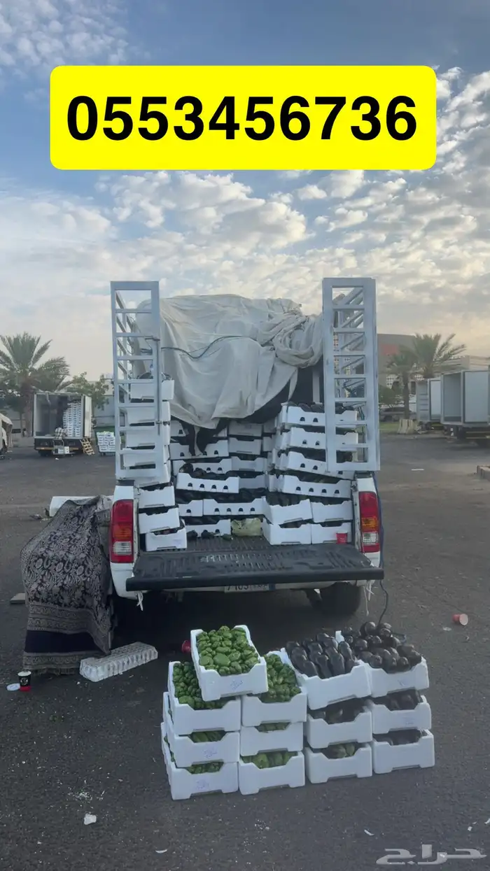 باذنجان وفلفل رومي 0