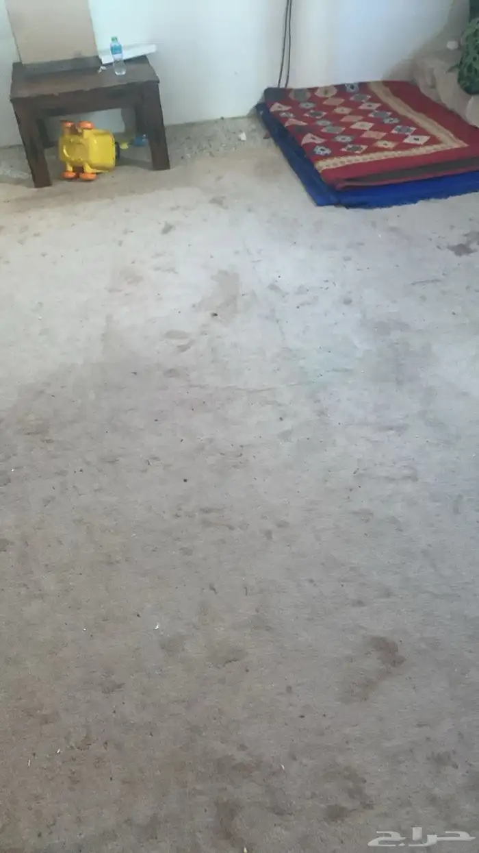 صحن او طبق دش وعدسة وريسيفر 4