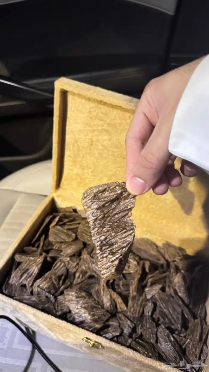 عود ازرق كلمنتان سوبر 2