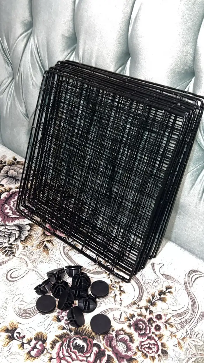 قفص قطط صغار 1