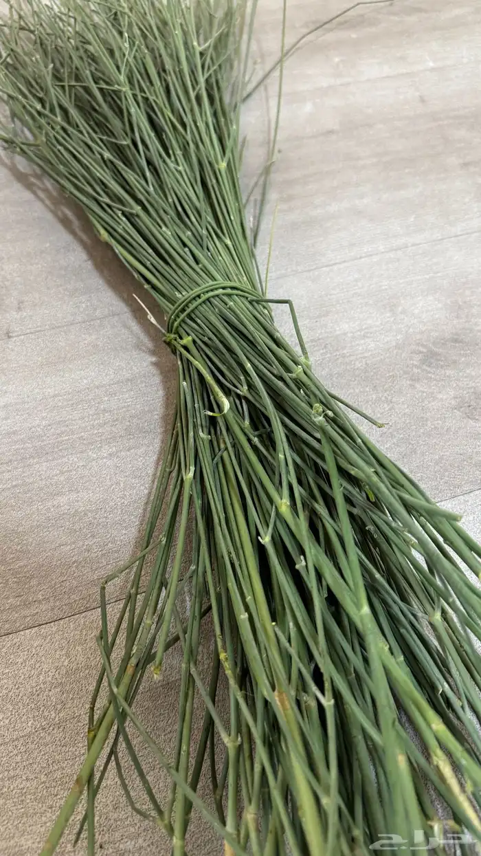 مرخ طازج و نظيف 1