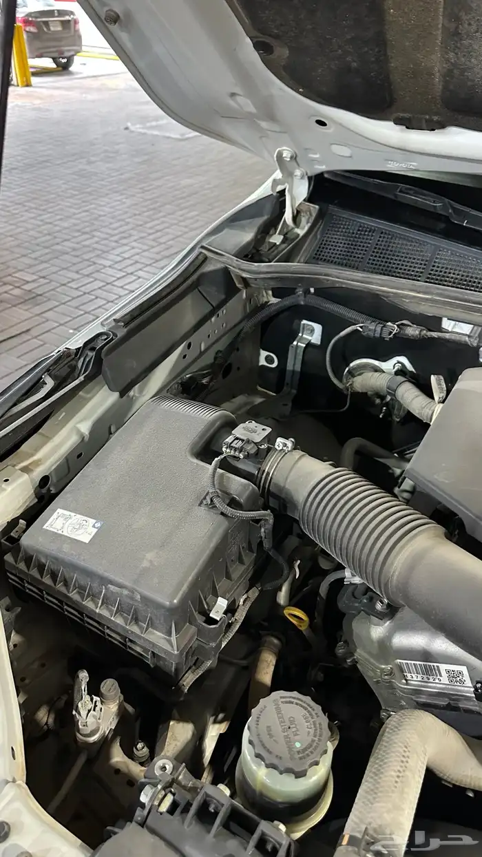 فورشنر 2023 ممشى قليل(شبه مخزن) 16