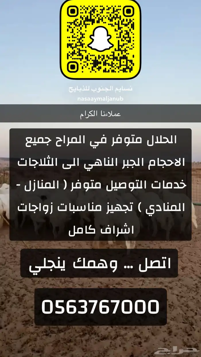 خرفان كفر ذبايح 0