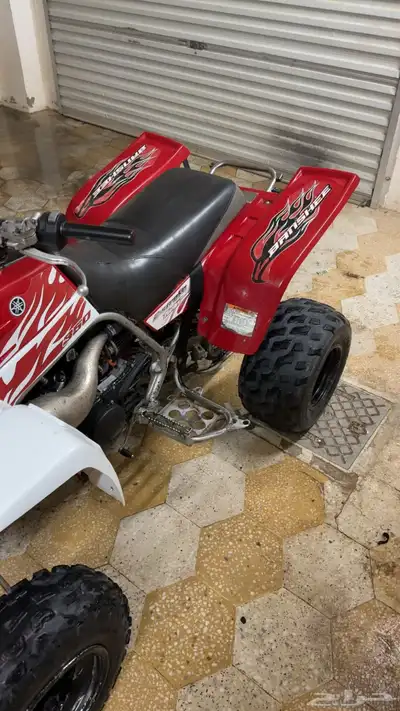 بانشي 2009 index