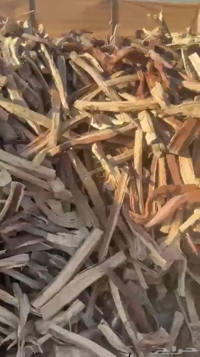 حطب مخيش الخيشه علا 60 شمل التوصيل في جميع منطق القصيم 1