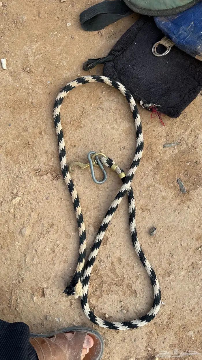 مستلزمات خيول 9