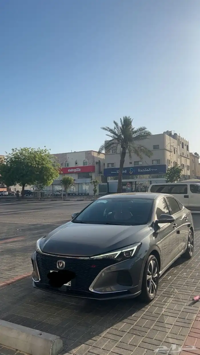 إيدو بلس ليميتد 2023 0