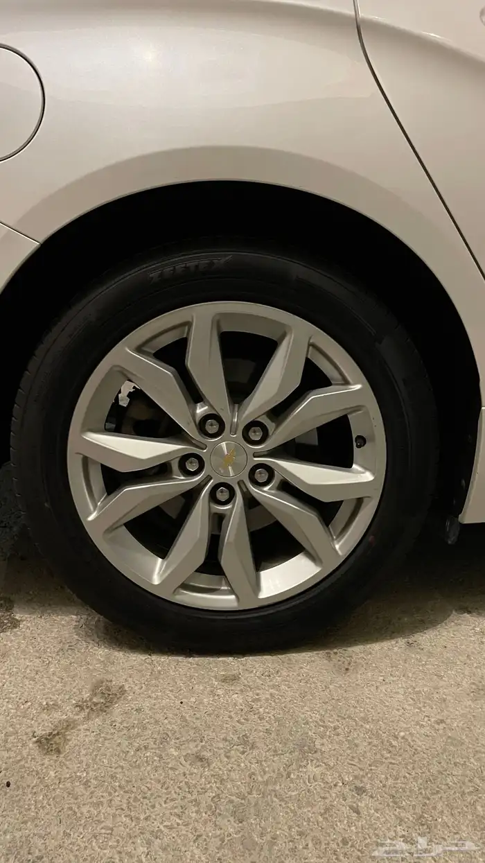 امبالا 2018 ممشى قليل 19