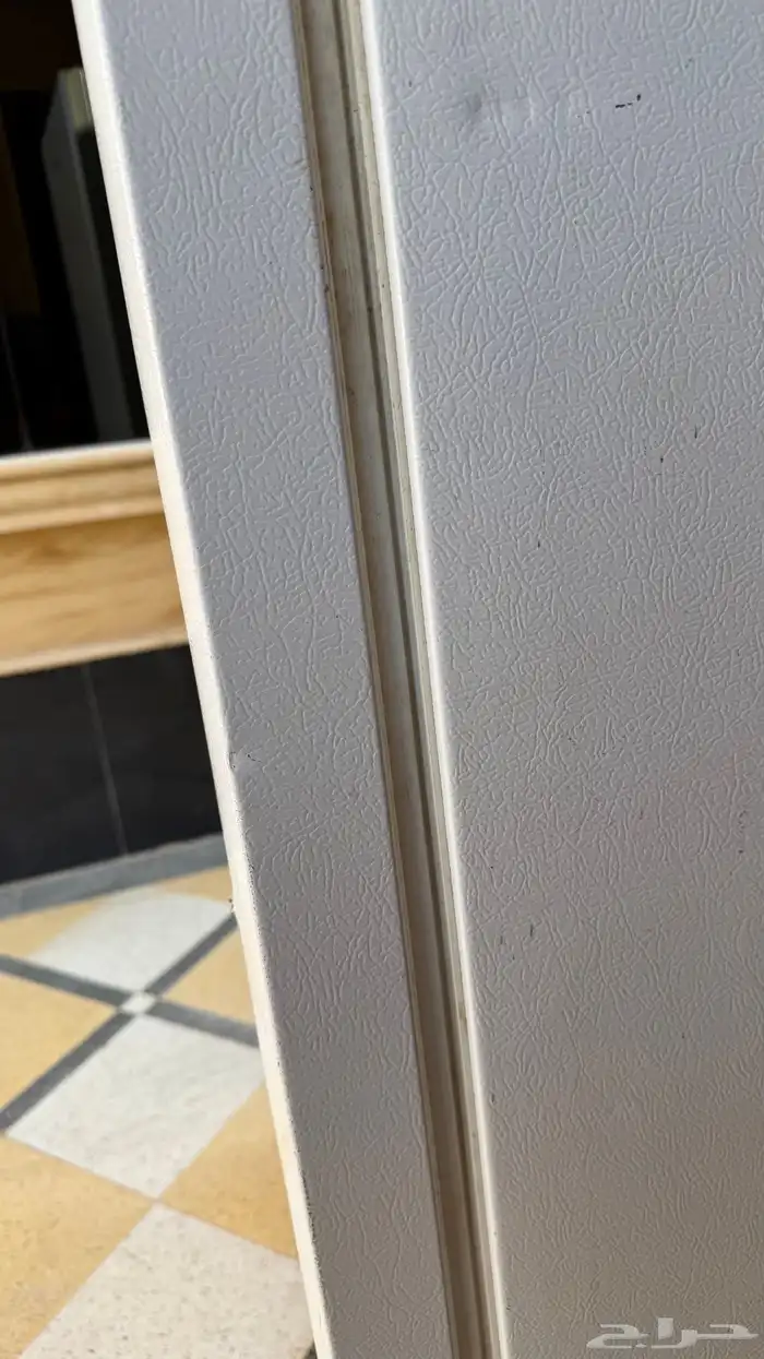 فريزر جيبسون امريكي واقف عامودي 21قدم 2