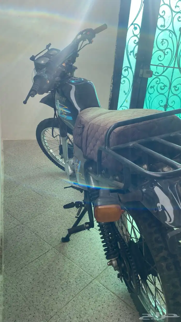 دباب صحراوي صيني 1