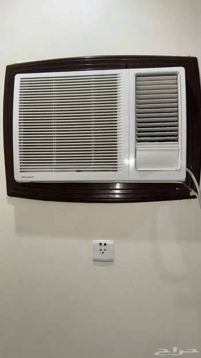 مقاس 24 كمبرشر كبير أمريكي 0