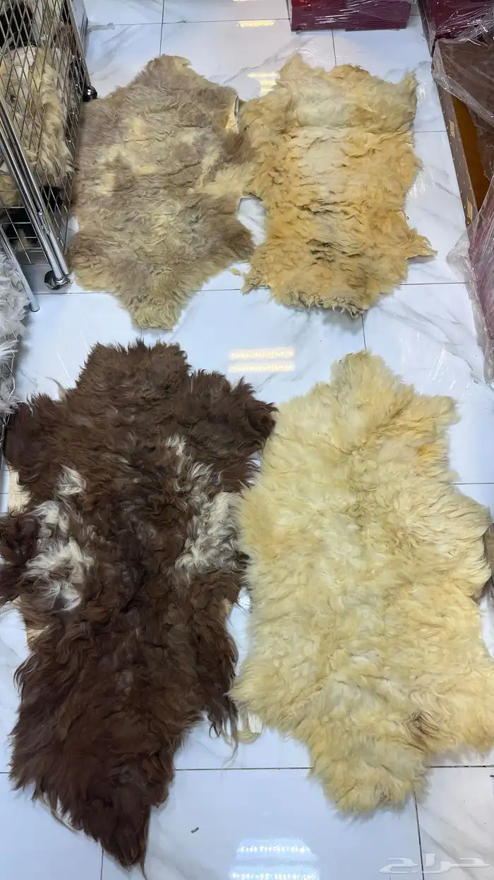 جاعد وفرو طبيعي وصناعي 0