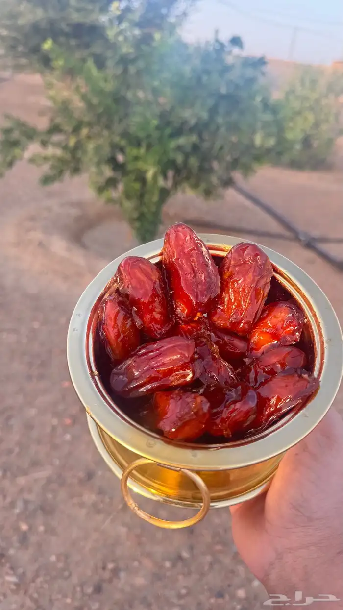 تمر صفري بيشة اشعل و حبه طيبه 0