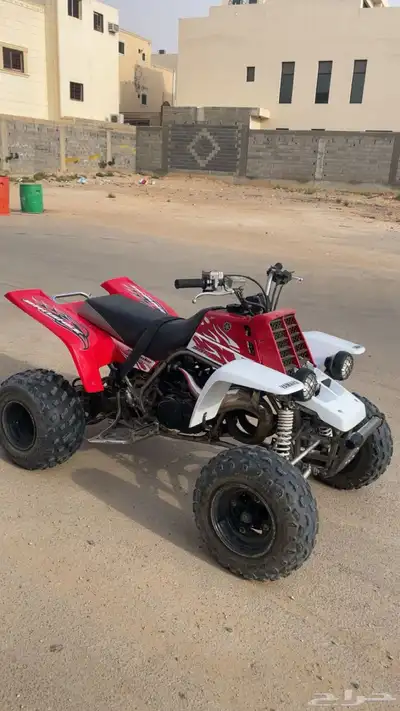 بانشي 2009 index