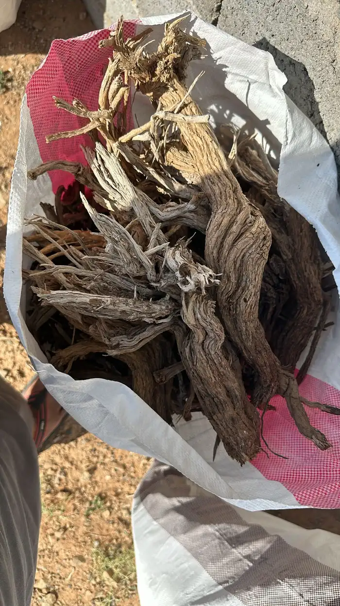 حطب خياش مستورد إفريقي 0