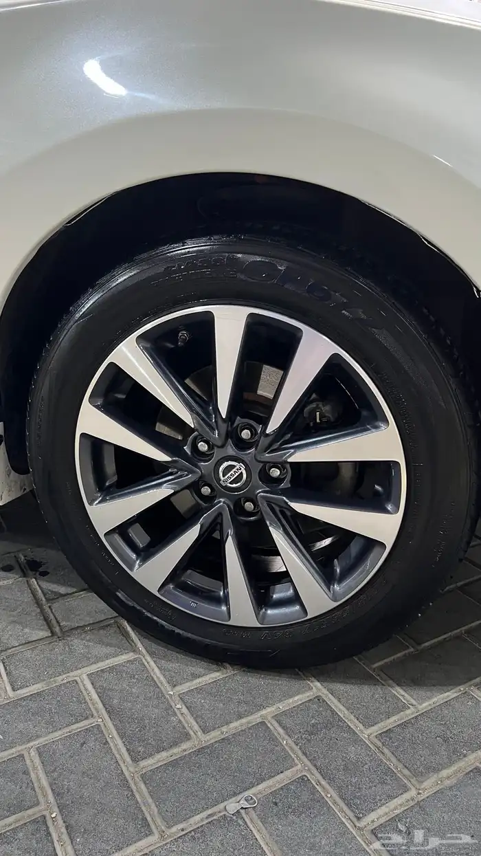 التيما نظيف 2017 9