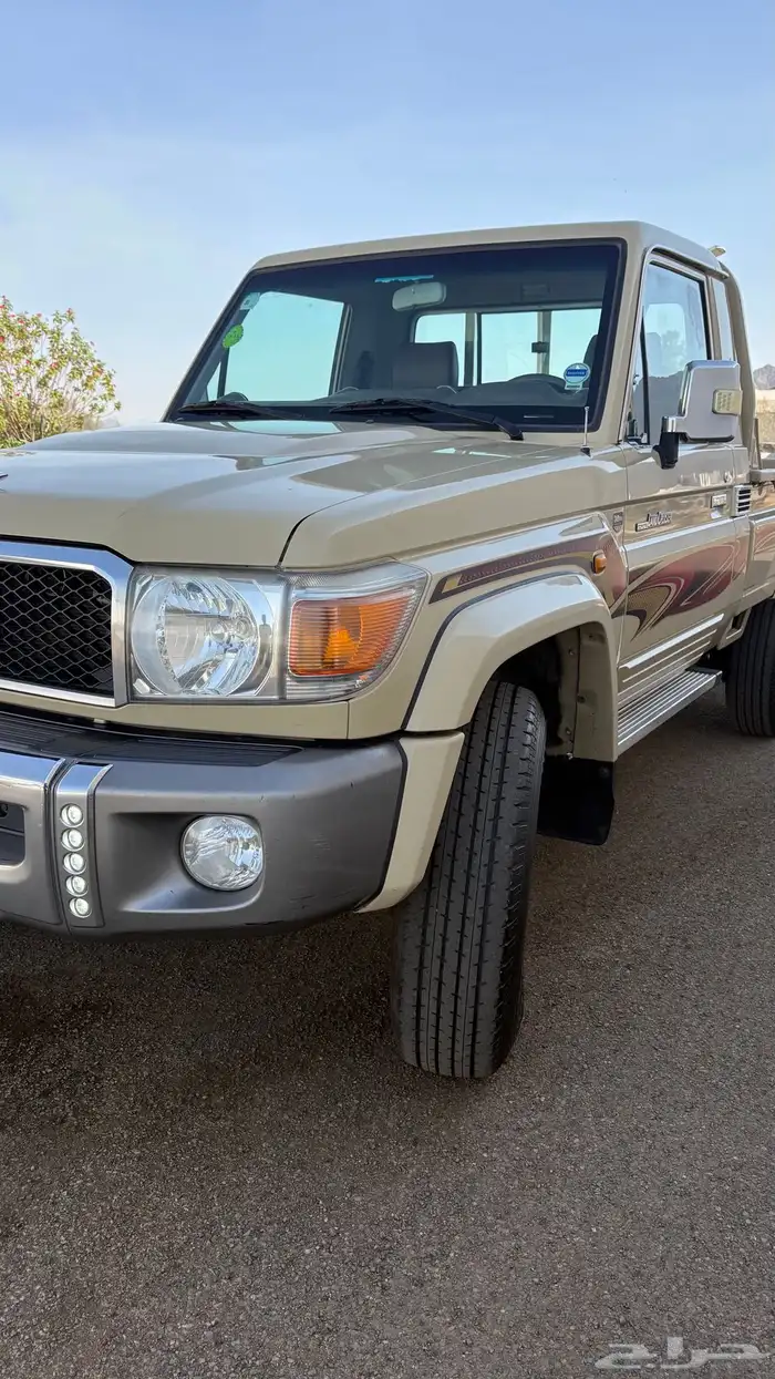 شاص 2015 بريمي رفرف 8