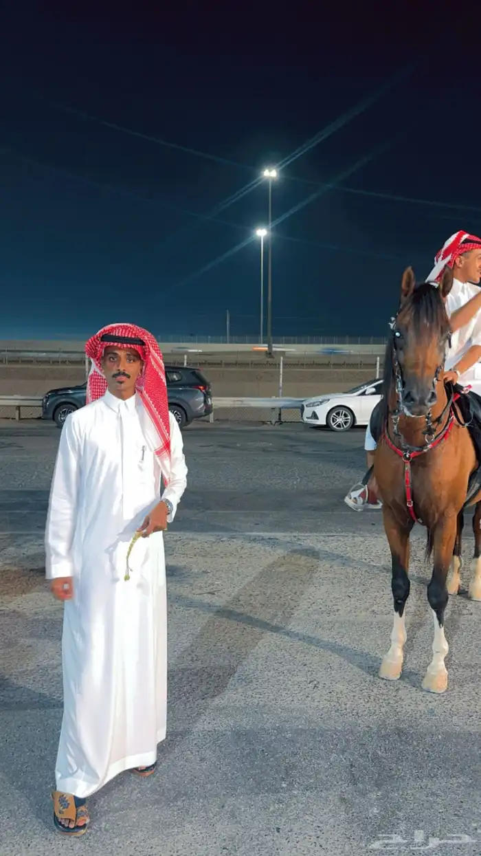 اسطبل النايف 3