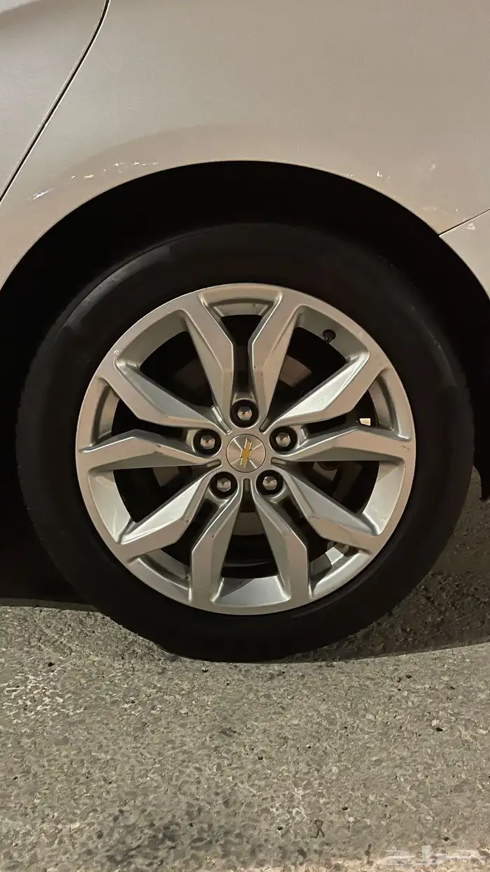 امبالا 2018 ممشى قليل 18