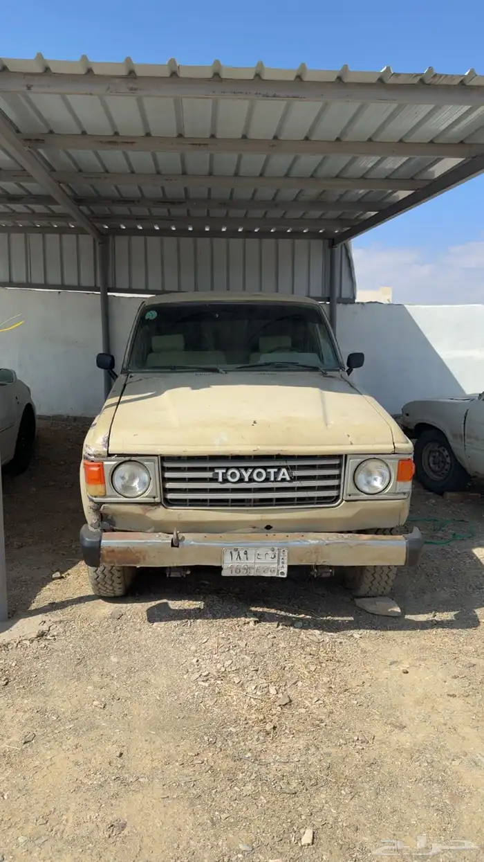 جيب صلون 83 مجدد مفحوص 0