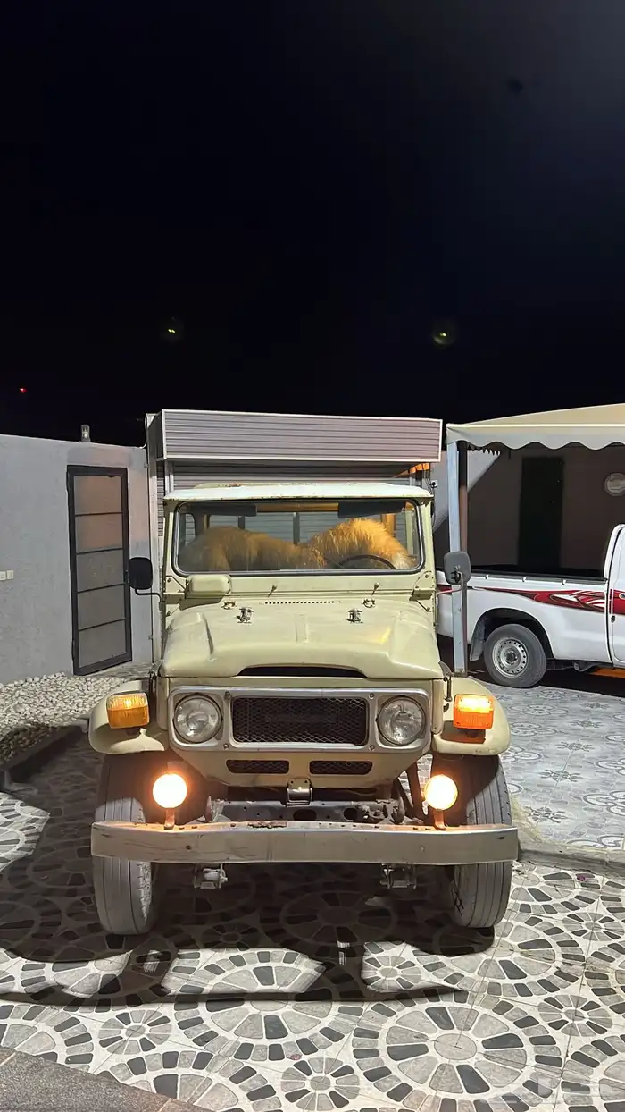 شاص مديل 84 2