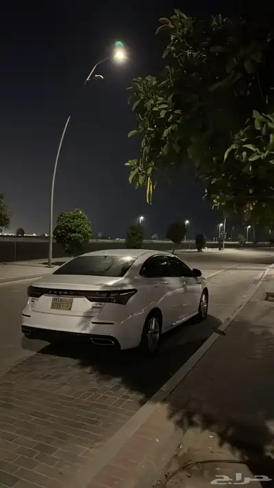 شيري اريزو 6 index