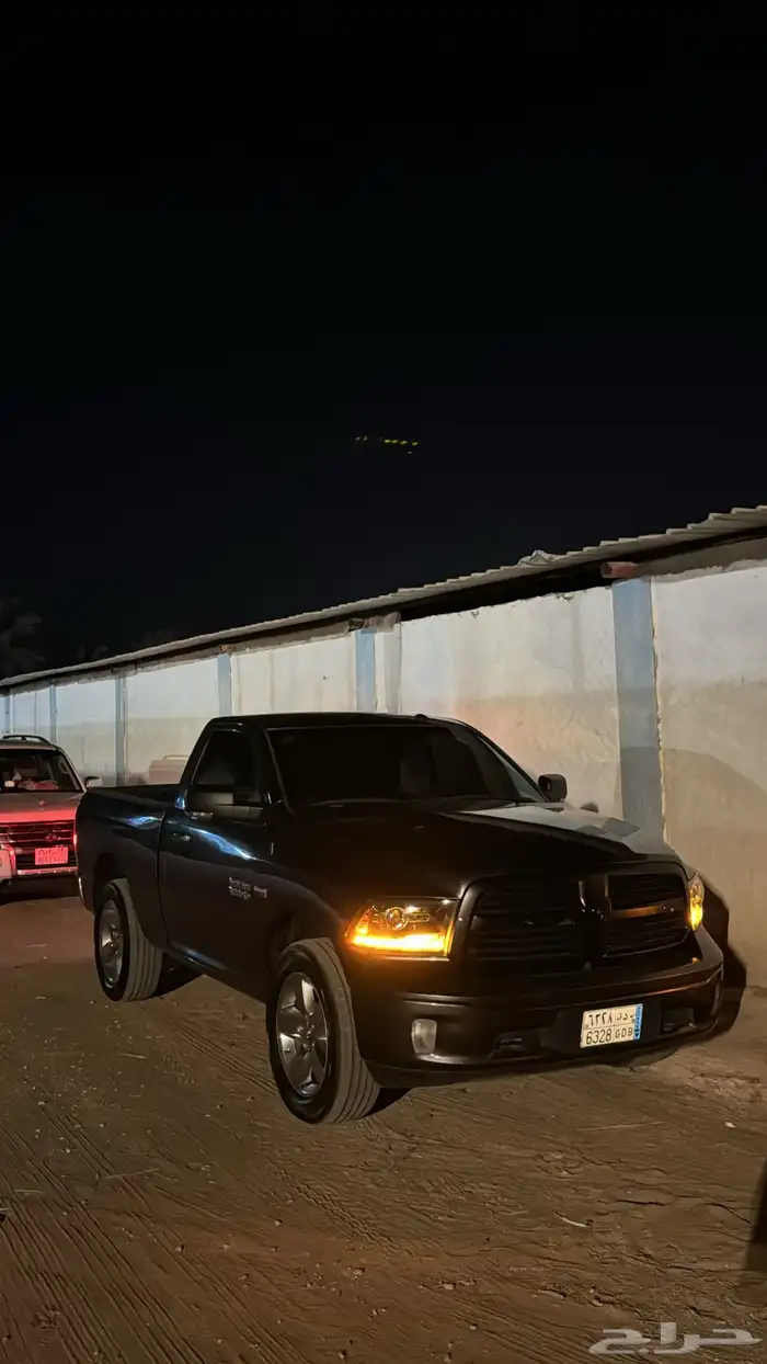 رام بق هورن نظيف للبيع 4