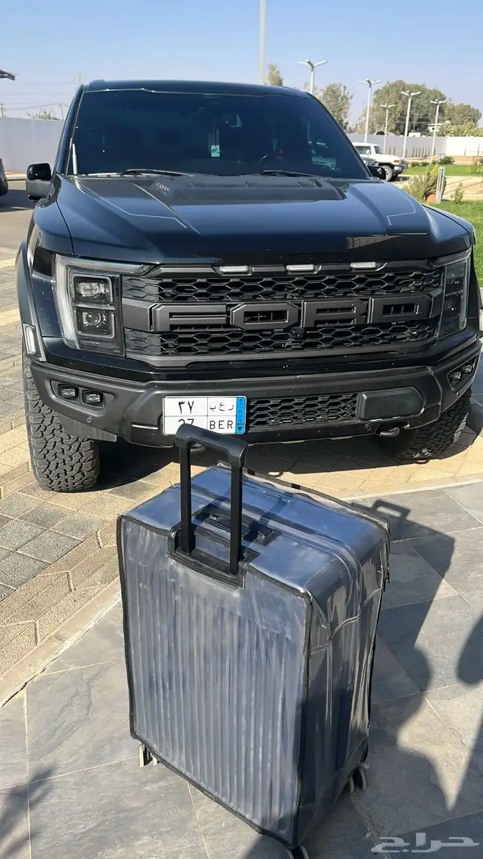 فرس من نوادر الشعبي 2