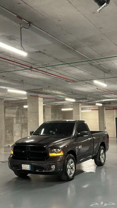 رام بق هورن نظيف للبيع index