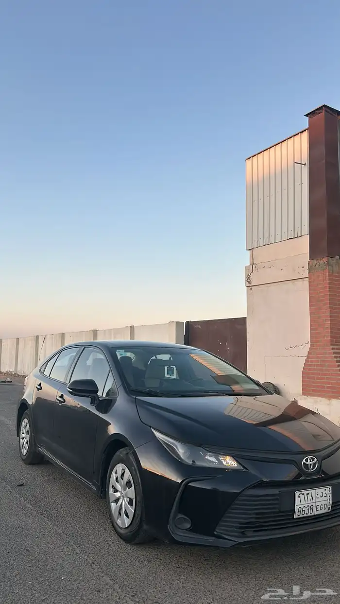 للبيع كوريلا 2020 1