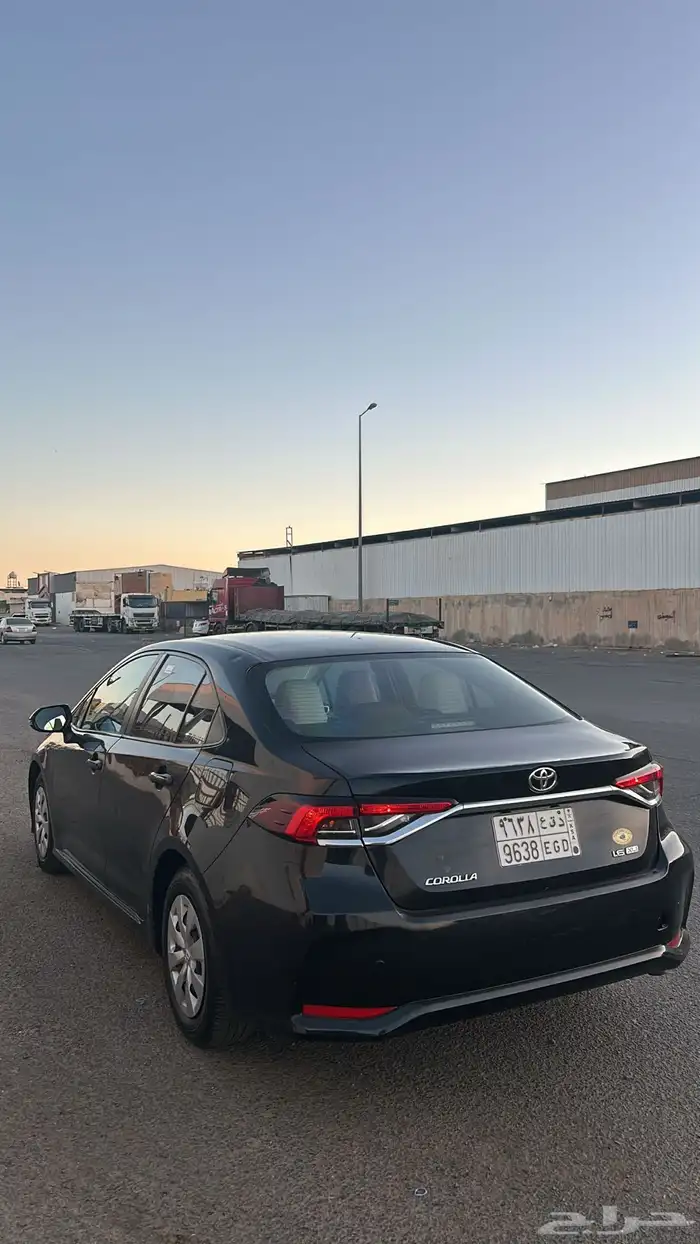 للبيع كوريلا 2020 3