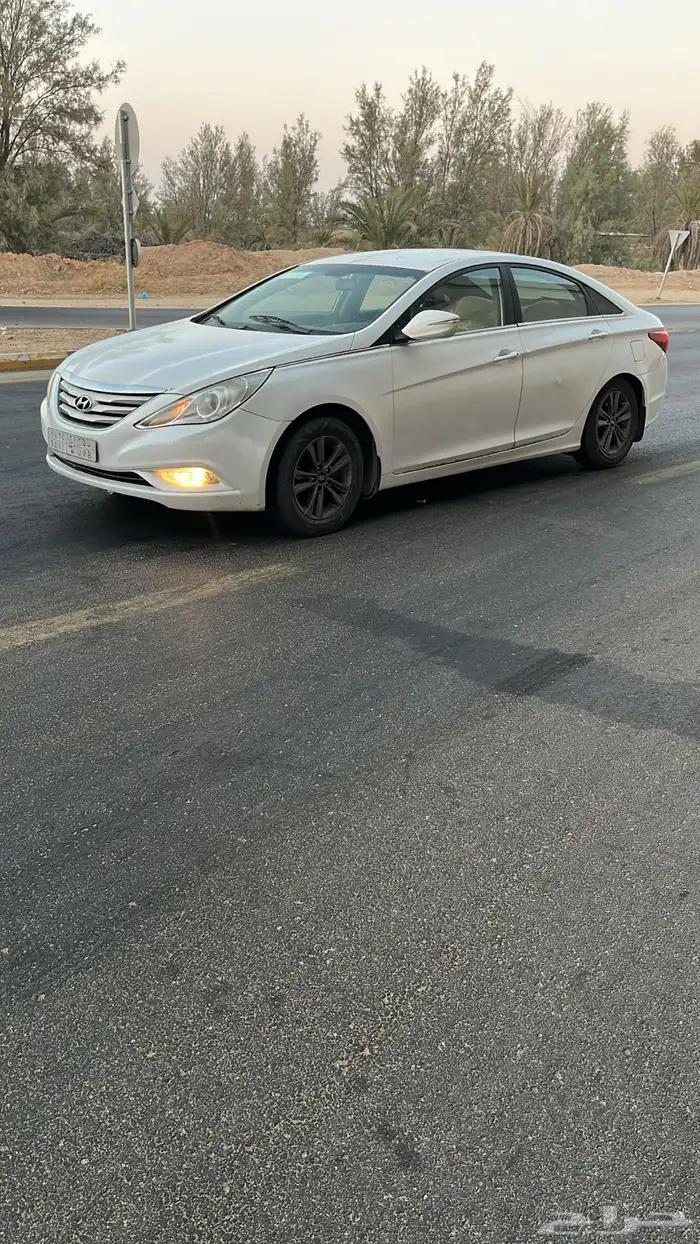 جنوط سوناتا مجدوعي الدفعه الاولى 0