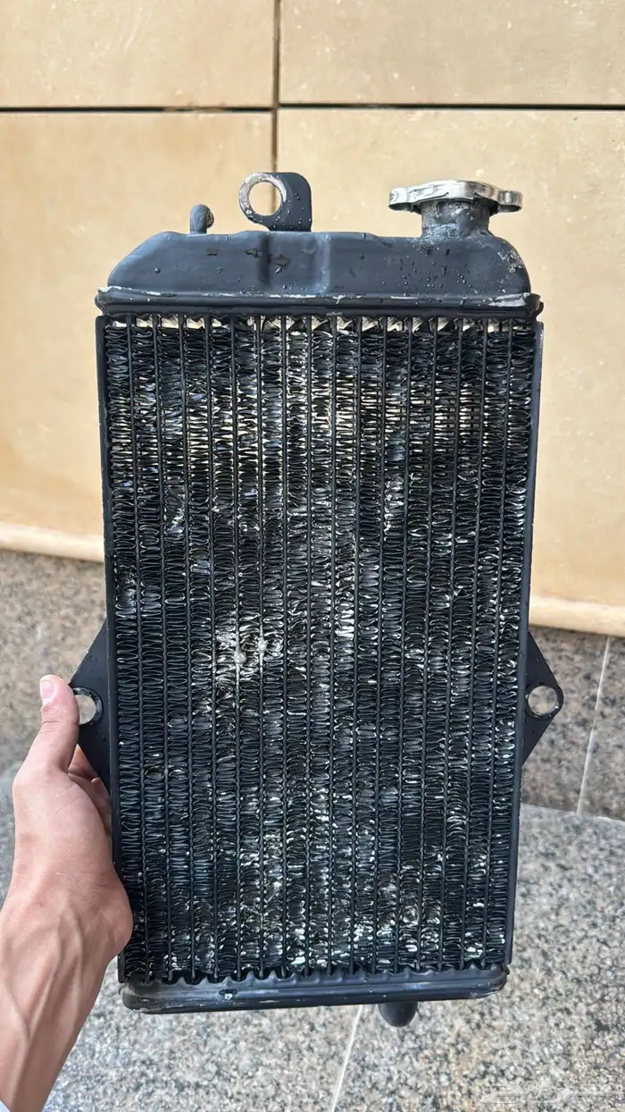 رديتر بانشي بلد 1