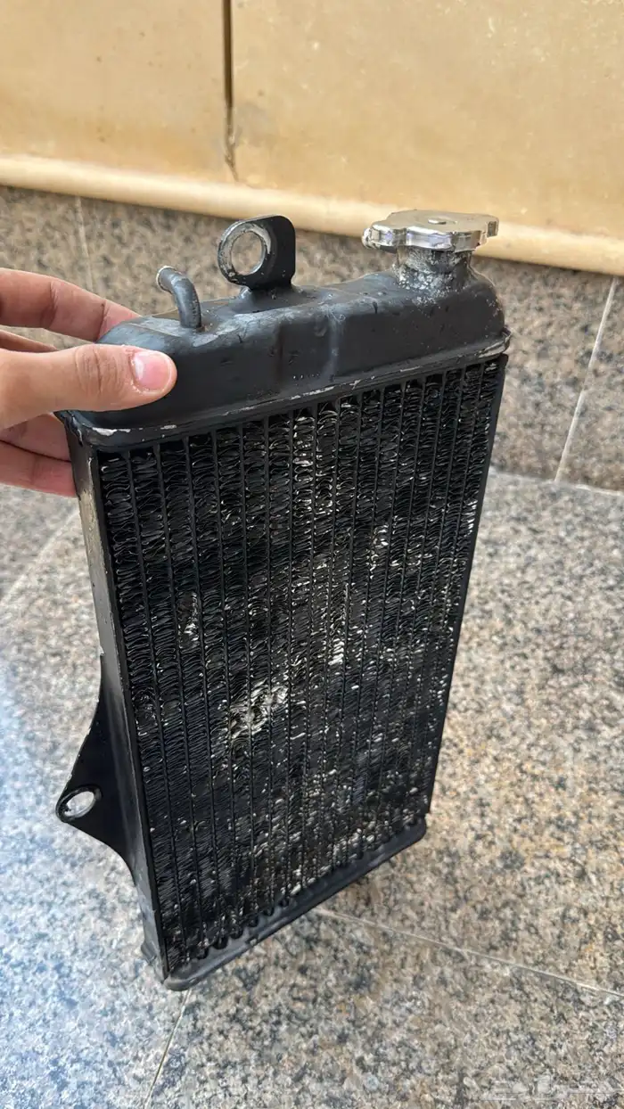 رديتر بانشي بلد 0