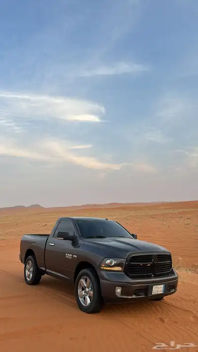 رام بق هورن نظيف للبيع index