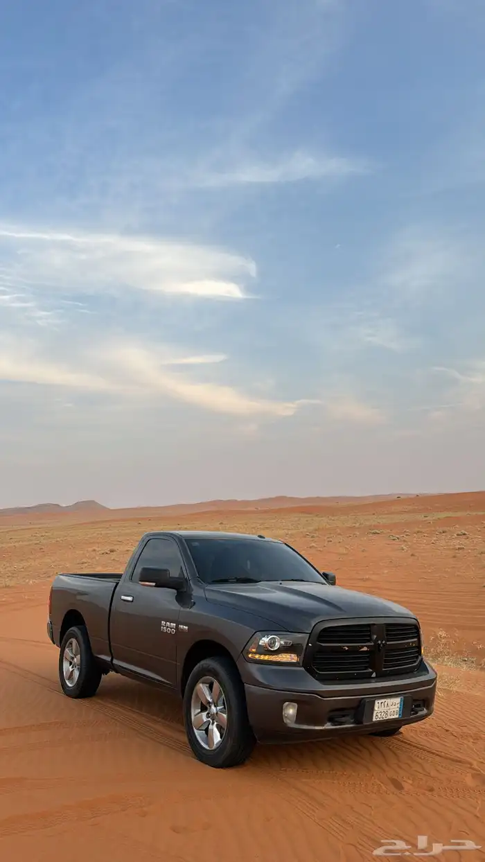 رام بق هورن نظيف للبيع 2