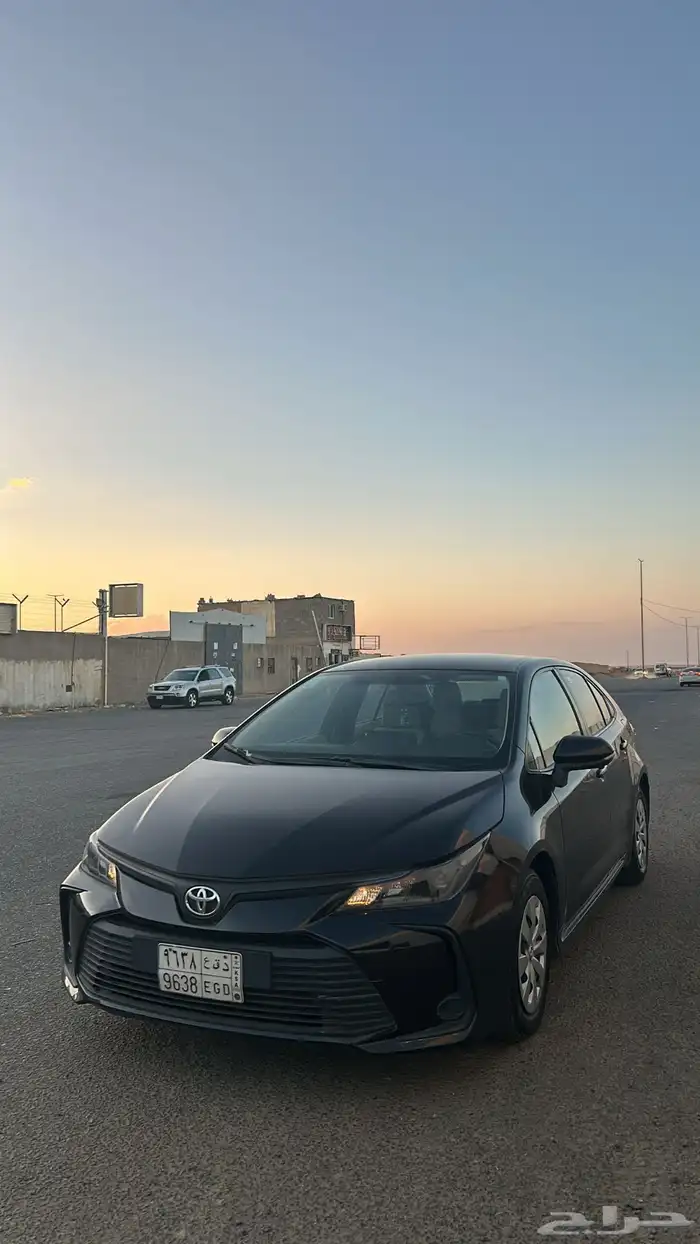 للبيع كوريلا 2020 0