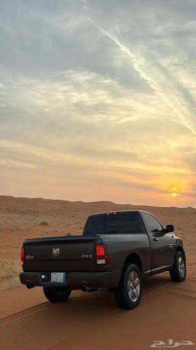 رام بق هورن نظيف للبيع index