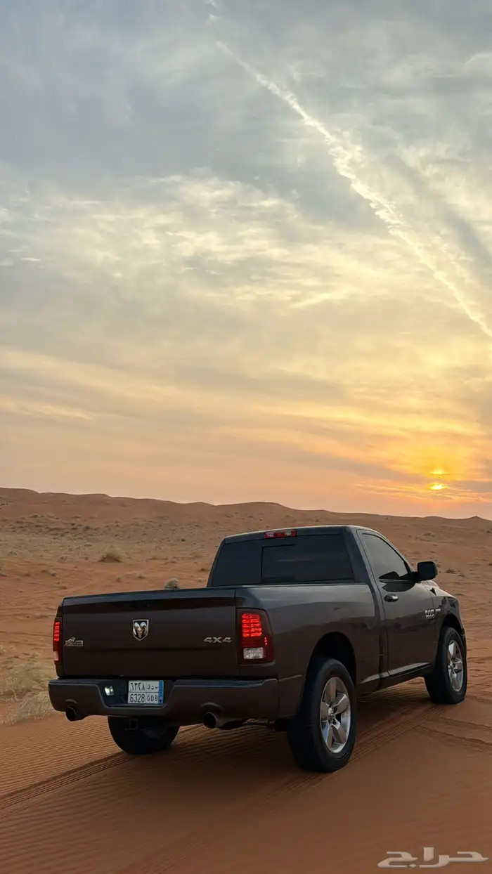 رام بق هورن نظيف للبيع 1