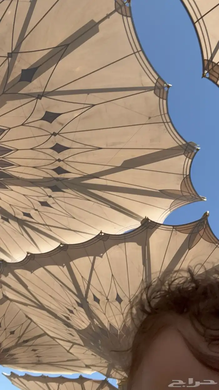 شقه ايجار دور ارضي او بيت في اي منطقه 0