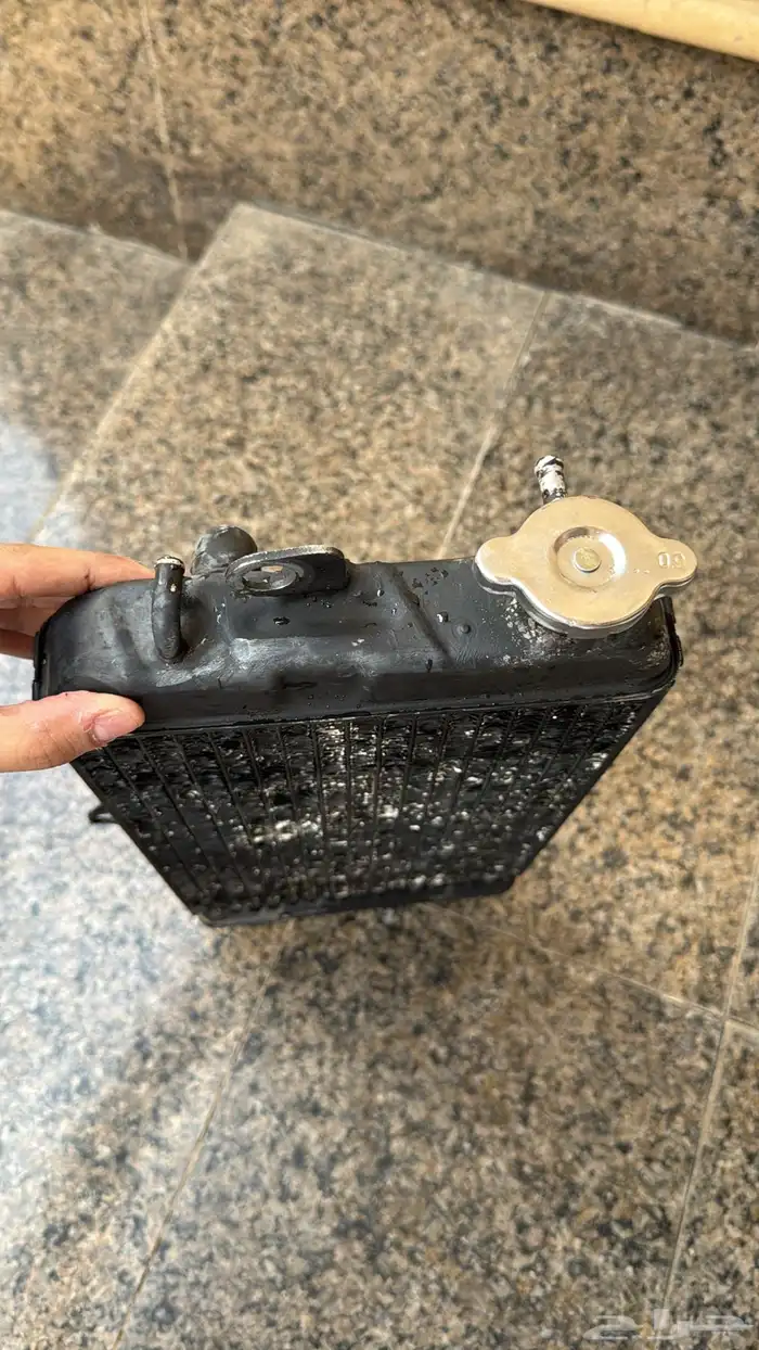 رديتر بانشي بلد 2