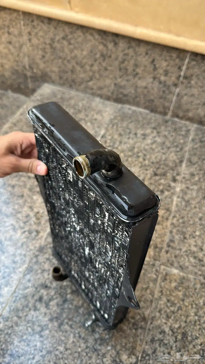 رديتر بانشي بلد 5